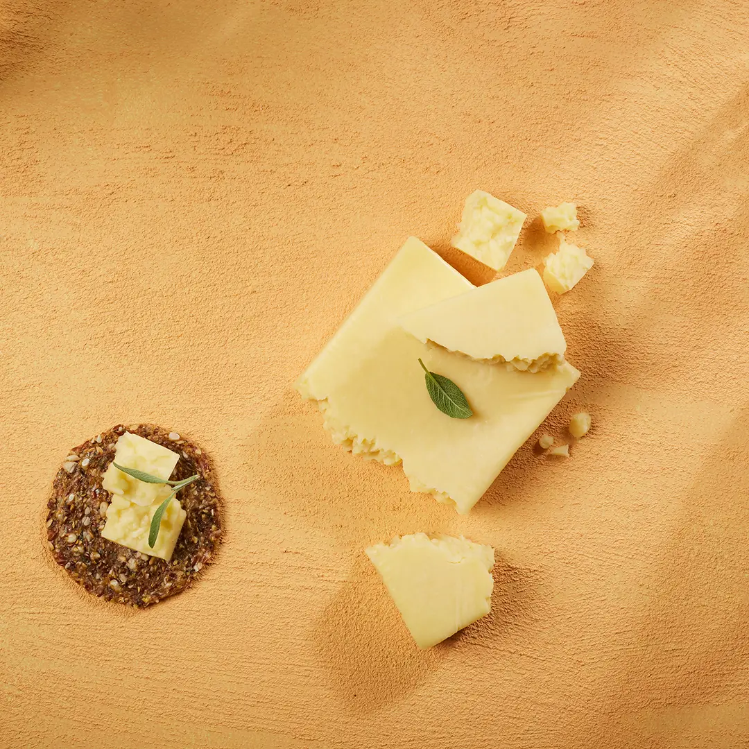 Veganis food, edam cheese sustainable alternative